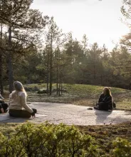 Kvinnor på skogsyoga med Caroline Henriksson i den åländska skärgårdsskogen.