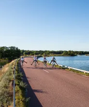 Fyra glada cyklister spexar på en landsväg med havet på båda sidor.