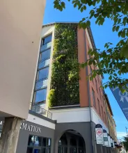Växtvägg vid Telegrafens galleria i Mariehamn.