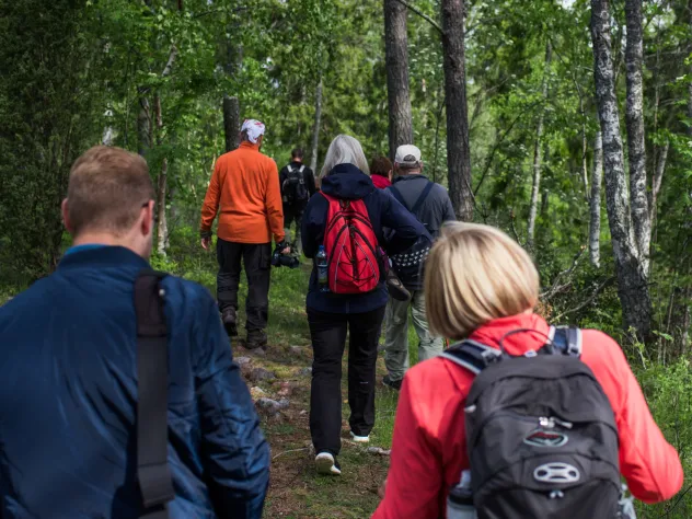 Ryggarna på ett sällskap som vandrar på Åland.