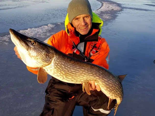 Sportfiskeguiden håller upp 7 kilos gädda efter isfiske på isen.
