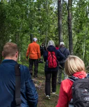 Ryggarna på ett sällskap som vandrar på Åland.