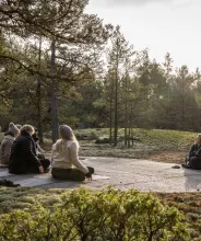 Skogsyoga på Åland.