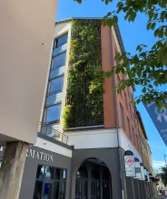 Växtvägg vid Telegrafens galleria i Mariehamn.