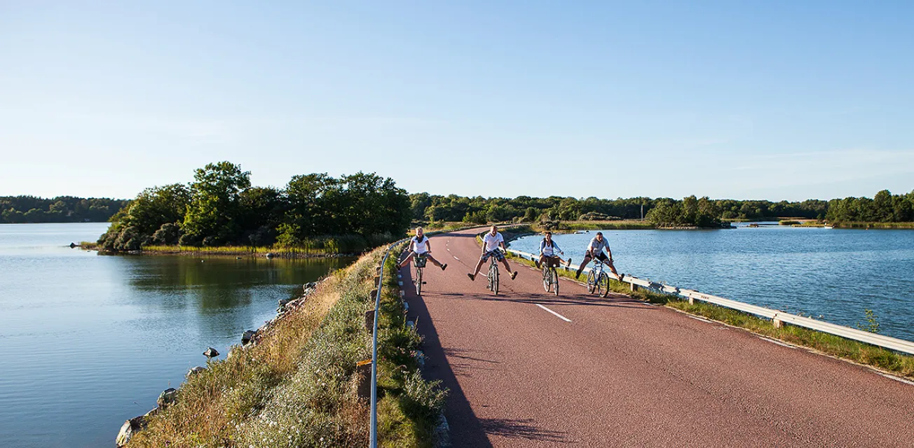 Fyra glada cyklister spexar på en landsväg med havet på båda sidor.