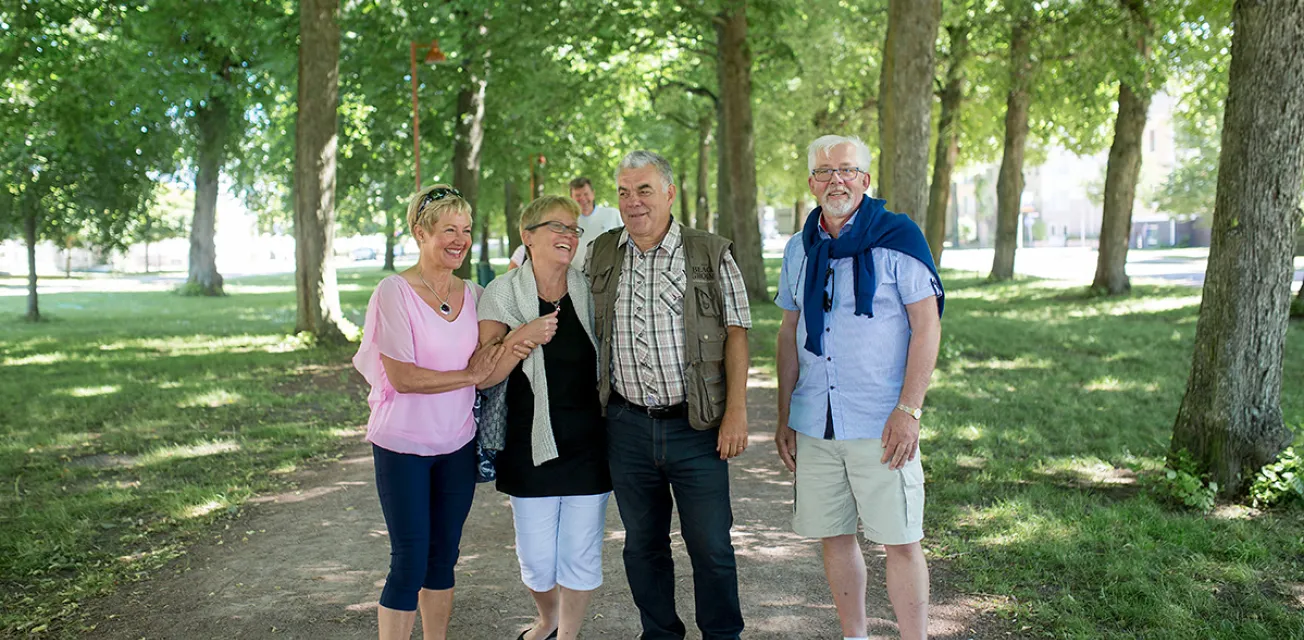 Fyra pensionärer på promenad i den lummiga lindallén i Mariehamn.