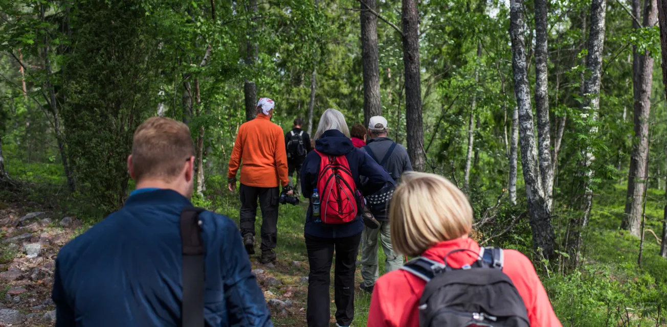 Ryggarna på ett sällskap som vandrar på Åland.
