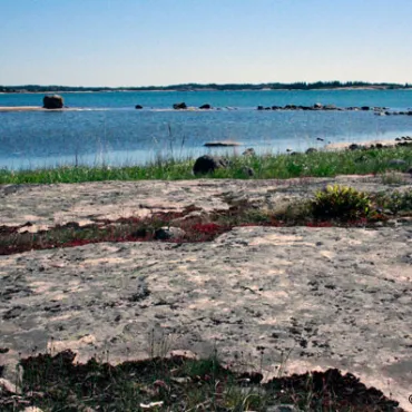 Berg och grönska vid stranden.