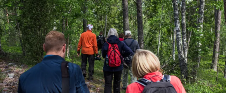 Ryggarna på ett sällskap som vandrar på Åland.