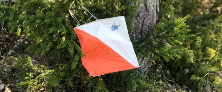 Orienteringskontroll i skogen.