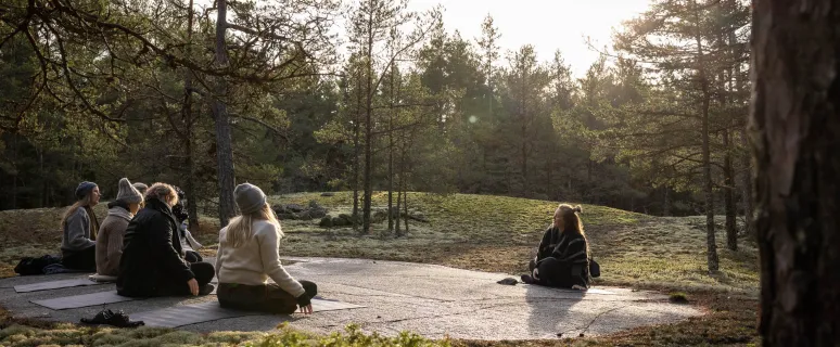Kvinnor på skogsyoga med Caroline Henriksson i den åländska skärgårdsskogen.