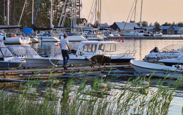 Utsikt över bryggan vid Käringsunds Camping.